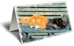 The Park Bench Gift Greeting Card
