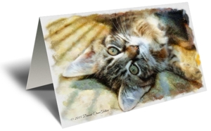 Whats Up Gift Greeting Card