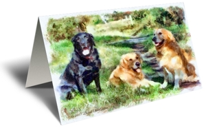 Three Best Friends Gift Greeting Card