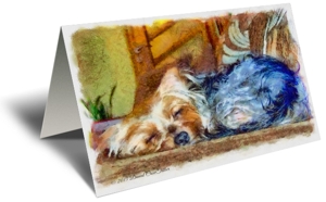 Let Sleeping Dogs Lie Gift Greeting Card