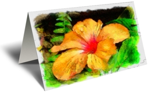 Color in the Forest Gift Greeting Card
