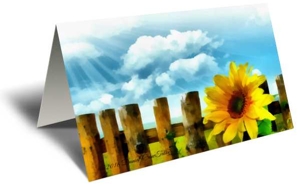 Sunflower Dreams Gift Greeting Card