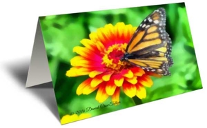 One Happy Monarch Gift Greeting Card