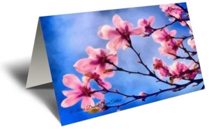Blossoms in the Sky Gift Greeting Card