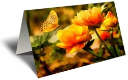Give the gift of flowers to your special someone! Beautiful flower illustrations in bright colors that let you feel the movement of these magnificent blooms in all their glory.