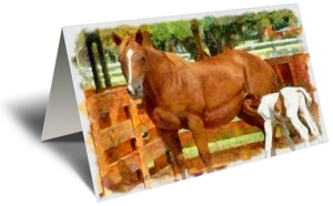 Mare and Foal Gift Greeting Card