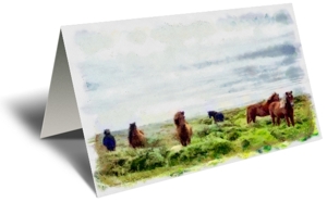 Wild Herd Gift Greeting Card