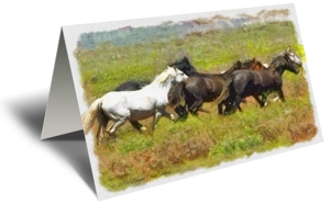 Horses Running Wild Gift Greeting Card