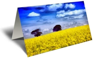 Endless Field of Yellow Gift Greeting Card