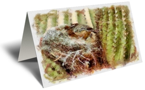 Cactus Wren Gift Greeting Card 