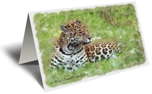 Leopard Gift Greeting Card