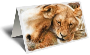 Loving Lions Gift Greeting Card