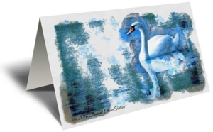White Swan Gift Greeting Card