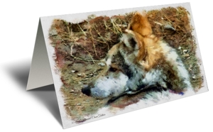 Wolf Gift Greeting Card