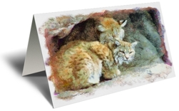 This series of XLD CARDS gift greeting cards are original illustrations of wildlife rendered from photographs of real encounters with life on the outside of the fence.